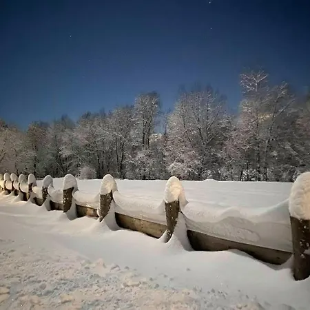 Haus An Der Drau Nahe Velden / App. Drau Bytilly Apartmán Velden am Wörthersee